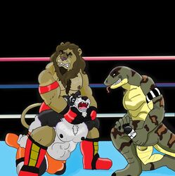 anthro camel_clutch canine feline husky interspecies lion loop_the_jobber_dog male mammal reptile scalie sebastian_king snake speedo swimming_trunks swimsuit wrestler wrestling yaoi