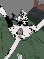 anatomically_correct anatomically_correct_genitalia animal_genitalia animal_vulva bed butt canid canine canine_genitalia canine_vulva canis dalmatian domestic_dog female feral furniture genitals legs_in_air lying mammal markings on_back on_bed presenting presenting_hindquarters presenting_vulva solo spots spotted_body spread_legs spreading tongue tongue_out vulva