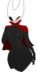 hollow_knight hollow_knight:_silksong hollow_knight_(franchise) team_cherry hornet_(hollow_knight) solo solo_female 1girl bug bug_girl spider spider_girl breasts pussy horns cloak blush blush_lines blushing blushing_female