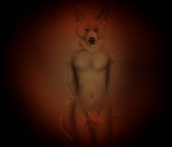 anthro balls canine cum erection fen furry furry_only gay gloebis jackal male male_only mammal nipples no_humans nude penis piercing pinup sack