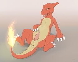 balls belly charmeleon chubby jetshark male male_only nintendo penis pokemon reptile scalie solo video_games