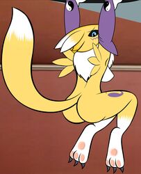 2012 anthro ass blue_eyes breasts bsting canine claws digimon edit female fox fur furry gloves hindpaw markings nude pawpads paws renamon solo yellow_fur