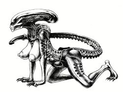female xenomorph from alien (franchise) by double deck