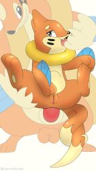 2025 2d_animation anal anal_sex animal_genitalia animal_penis animated anus ass balls blush buizel digital_media_(artwork) duo erection feet female female_penetrated feral fingers floatzel fur furry generation_4_pokemon genital_fluids genitals hi_res loop male male/female male_penetrating male_penetrating_female mammal marine masturbation mustelid nintendo nude open_mouth oral_fingering orange_body orange_fur penetration penis pokemon pokemon_(species) sex simple_background stomach_bulge tail teeth tongue vulva weasel zpectralkrystal