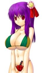 1girls alternate_breast_size bikini female hair_ornament hieda_no_akyuu huge_breasts photoshop purple_hair red_eyes solo touhou transparent_background