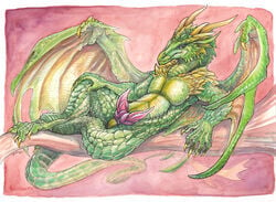 1boy anthro barefoot cloaca diphallia diphallism dragon erection furry green_dragon green_eyes hemipenes ironfeathers lying male male_only mixed_media multi_penis nude penis pink_penis scalie solo spikes tapering_penis traditional_media watercolor wings