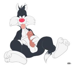 balls crazedg feline looney_tunes male male_only mammal masturbation penis smooth_fur solo sylvester tongue tongue_out warner_brothers