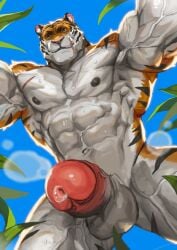 abs anthro balls biceps bodily_fluids coach_ho felid genital_fluids genitals hi_res male mammal muscular muscular_anthro muscular_male nipples pantherine pecs penis precum solo striped_body stripes tiger traver009 vein veiny_muscles