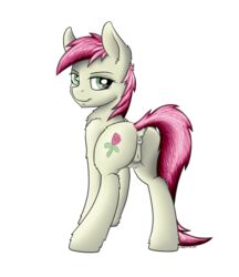 2014 anus ass cutie_mark equine female feral fluffy friendship_is_magic green_eyes hair horse mammal my_little_pony pony presenting presenting_hindquarters pussy roseluck_(mlp) solo standing strachinthesack