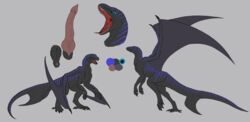 anus dinosaur dragon draptor feral hybrid male model_sheet penis raptor scalie stripes