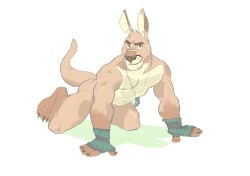 bara fingerless_gloves furry kangaroo male muscular simple_background solo spookeedoo tan_body tan_fur white_background