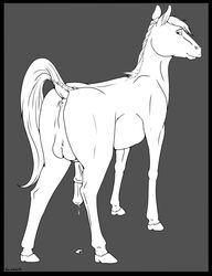 2014 anus backlash91 balls cum equine grey_background hair hooves horse horsecock looking_at_viewer looking_back male male_only mammal penis plain_background precum raised_tail solo standing vein