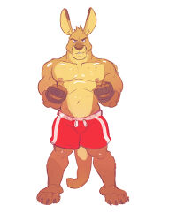 bara feet fingerless_gloves furry kangaroo looking_at_viewer male muscular shorts simple_background solo spookeedoo tan_body tan_fur white_background