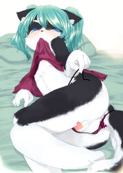 anthro ass azuki_akizuki black_fur black_nose blue_eyes blue_hair blush breasts censored chest_tuft clothing ear_tuft feline female fur hair havemoon heart kemono looking_at_viewer mammal nipples pillow pixiv plain_background presenting pussy see-through sheer sheet small_breasts solo thong tuft two_tone_fur undressing white_fur