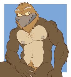 2014 4_fingers anthro anti_dev avian beak blue_background brown_feathers chet_(anti_dev) feathers male male_only muscles navel nipples nude penis plain_background pubes solo