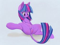 anus blush cute equine female friendship_is_magic fur hair hooves horn horse long_hair mammal multicolored_hair my_little_pony plain_background pony purple_eyes purple_fur pussy solo spread_legs spreading twilight_sparkle_(mlp) unicorn zokkili