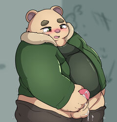 2020 anthro balls bodily_fluids bottomwear clothing cum ejaculation erection fur furry genital_fluids genitals hi_res hoodie inigo_(kusosensei) kemono kusosensei male male_only mammal masturbation morbidly_obese morbidly_obese_anthro morbidly_obese_male obese obese_anthro obese_male overweight overweight_anthro overweight_male pants penis solo solo_male topwear ursid