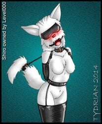 anthro armbinder blindfold blush bondage bound breasts canine collar cuffs female femsub fur gag hair legbinder mammal nude open_mouth open_mouth_gag pussy ring_gag rubber solo tail_bondage tail_cuff tongue tydrian white_fur wolf