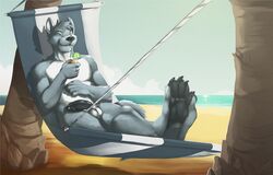 anthro arcticlion balls beach canine fur furry hindpaw lordwolfie male male_only mammal paws penis seaside solo toes wolf