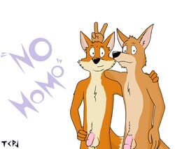 2014 anthro canine dan fox friends furry furry_only gesture humanoid_penis josh kangaroo male male_only mammal marsupial ms_paint no_humans nude penis plain_background pose smile standing tagme teenager text the_crappy_paint_job_(artist) yaoi