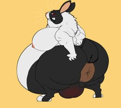 2011 anthro anus ass big_belly big_breasts big_butt breasts huge_breasts lagomorph male male_pregnancy mammal pregnant rabbit riis