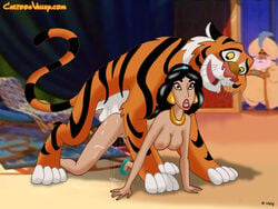 aladdin all_fours anal anal_sex balls big_breasts breasts cartoonvalley.com disney disney_princess doggy_style feline female fur hair helg human long_hair long_tail looking_at_viewer male mammal nude open_mouth penetration penis princess_jasmine rajah royalty sex sultan tiger zoophilia