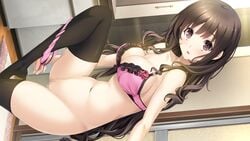 bra brown_eyes brown_hair game_cg hoshimi_tsukuyo kiss_ato long_hair navel panties panty_pull pussy thighhighs underwear