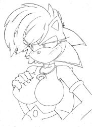 female hedgehog sonia_the_hedgehog sonic_(series) sonic_the_hedgehog_(series) superbunnygt tagme