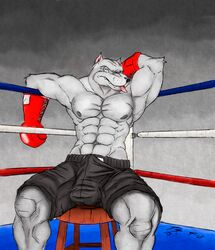 1boy abs anthro balls biceps bulge canine clothing erection fur furry gloves jrbart male male_only mammal muscles pecs penis pitbull reclining shorts sitting solo tongue tongue_out