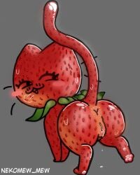 4:5 anus aroused ass berrycat_(nekomew_mew) bodily_fluids butt_focus domestic_cat dripping dripping_pussy elemental_creature embarrassed felid feline felis female feral flora_fauna food food_creature fruit genital_fluids genitals glistening glistening_body green_body living_fruit looking_back looking_pleasured mammal nekomew_mew pawpads paws plant presenting pussy raised_tail rear_view red_body red_cheeks ruborised seductive solo strawberry tail vulva