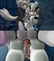 Sonic (Series) Rule 34 Image