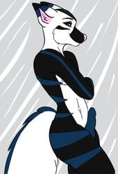 anthro canine erection fluff fox fur furry male male_only mammal penis pose rcfox solo