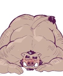 12beat13 anthro back_muscles beard bent_over blush bodily_fluids body_hair eyewear facial_hair glasses hi_res male mammal muscles overweight overweight_male solo suid suine sus_(pig) sweat tusks wild_boar