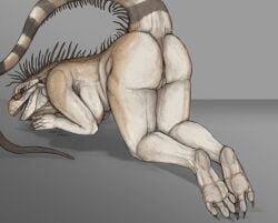 anthro anus ass ass_out back_spikes big_breasts big_butt breasts claws digital_media_(artwork) eyewear eyewear_only female full-length_portrait glasses glasses_only hi_res iguana iguanid legs_together lizard long_tail looking_at_viewer looking_pleasured mortalskull natural_colors nude nude_anthro nude_female open_mouth paws portrait pussy pussy_peek raised_tail realistic_anatomy rear_view reptile scales scalie slightly_chubby solo spiked_tail spikes spikes_(anatomy) tail teasing teasing_look teasing_viewer teasing_with_butt thick_thighs toe_claws vulva wearing_glasses wide_hips