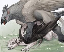 anal anal_sex avian beak big_knot big_penis black_penis claws doggy_style dragon duo erection feathered_wings feathers feral from_behind_position fur furred_dragon furred_scalie genitals green_eyes grey_body grey_feathers gryphon hi_res interspecies knot looking_pleasured male male/male mythological_avian mythological_creature mythological_scalie mythology on_grass penetration penile penile_penetration penis penis_in_ass quadruped scalie scuted_legs scutes sex tail tail_tuft tongue tongue_out tuft white_body wings zortie