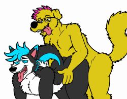 2boys anal anal_sex anthro black_fur blue_eyes blue_fur blue_hair body_fur canine commission commissioner_upload doggy_style fluffy_tail from_behind from_behind_position furry furry_only gay gay_anal gay_domination gay_male gay_sex husky implied_anal labrador loki_the_husky male male_only no_visible_genitalia panting pink_hair simple_background simple_shading tail tbfm tongue tongue_out white_body white_fur yellow_fur