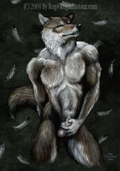 2004 canine dark feathers furry male male_only mammal masturbation penis rog_minotaur sex sheet solo wolf