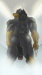 1boy anthro anus ass back_turned biceps bovine canine cattle fur furry horn hybrid inviting justmegabenewell large_ass large_penis looking_at_viewer male male_only mammal mojo muscles penis rottweiler shower solo teasing testicles thick_penis uncensored uncut water