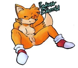 anthro ass breasts canid canine classic_tails digital_media_(artwork) female fox fur genitals looking_at_viewer mammal nipples nude pussy radiantemerald rule_63 sega smile solo sonic_(series) sonic_the_hedgehog_(series) sonic_the_hedgehog_2 tail tails tails_the_fox tailsko