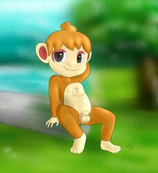 2014 anthro balls blush chimchar cute feral fur hair looking_at_viewer male male_only mammal nintendo nipples nude penis pokemon pokemon_(species) smile solo video_games young zekromlover