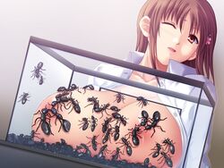 10+insects biting breasts brown_eyes clothing cyclet dutch_angle insects kisaragi_kagome konchuu_kansatsu large_breasts nipples original schoolgirl zoophilia