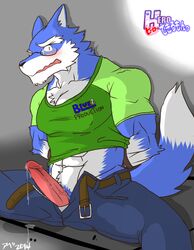 2014 anthro biceps blue_fur blush canine clothed clothing erection fur hentist male male_only mammal muscles penis shirt solo white_fur wolf ヒローできるもんっ