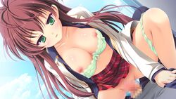 bra breasts brown_hair censored game_cg green_eyes hook long_hair melty_moment navel nipples odawara_hakone open_clothes open_shirt panties panty_pull penis seifuku sex shirt skirt sumire_ayazaki underwear