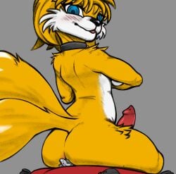 1futa 2_tails absurd_res ambiguous_gender animal_genitalia animal_penis anthro arm_tuft blue_eyes blush breasts canid canine canine_genitalia canine_penis cheek_tuft collar colored duo equid equine erection facial_tuft florecentmoo fox futanari genitals herm hi_res hiding_breasts intersex intersex/ambiguous larger_herm larger_intersex leather leather_collar leg_tuft looking_at_viewer mammal micro miles_prower miles_tails_prower multi_tail penis pillow sega shoulder_tuft simple_background sitting_on_another size_difference size_play solo_focus sonic_(series) sonic_the_hedgehog_(series) tail tails tails_the_fox thigh_tuft true_fox tuft