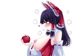 hakurei reimu from bad apple by nanaii desu