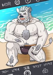 anthro arm_hair body_hair bulge camera camera_view chest_hair chest_tuft clothed clothing garu0513 genital_outline happy_trail hi_res leg_hair lifewonders male male_anthro mammal mostly_nude muscular muscular_anthro muscular_male partially_clothed phone_camera solo suid suine sus_(pig) tokyo_afterschool_summoners tuft underwear underwear_only wild_boar y'golonac_(tas)