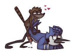 anal anal_sex avian bird blue_jay concupisco furry furry_only gay heart male mammal mordecai penetration penis plain_background raccoon regular_show rigby size_difference small_dom_big_sub