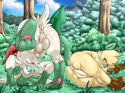 :o anus balls brown_eyes eeveelution female flaccid floorninja forest furry girly grass green_eyes leafeon male male_focus mammal nintendo paws penis pokemon pokemon_(species) pokephilia pussy shaymin three_toes tree uncut video_games