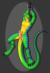 anus blue_skin closed_eyes dragon drake green_skin horn horns male male_only orange_hair penis stripes thesecretcave tied_up yellow_skin zelryem