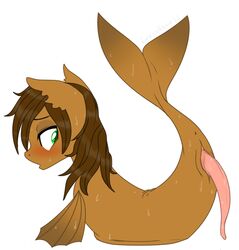 equine fins furry lonewolfkait mammal marine my_little_pony penis pony sea_pony seapony solo